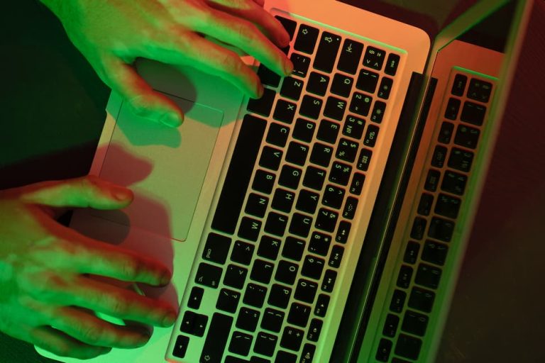 Cómo entender el contenido sobre servicios de acompañamiento en internet